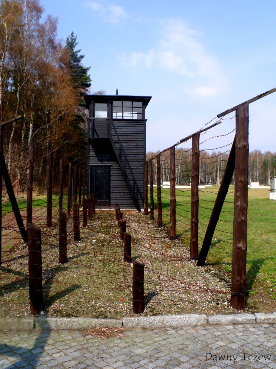DSCF5167.jpg