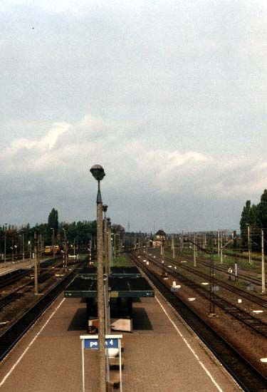 peron.jpg