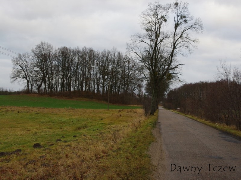 Boroszewo3.jpg