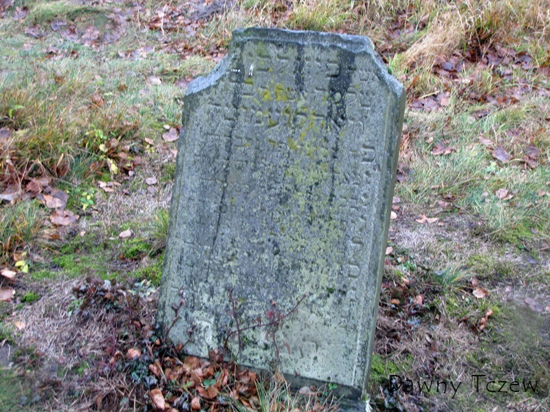 cmen 8.jpg