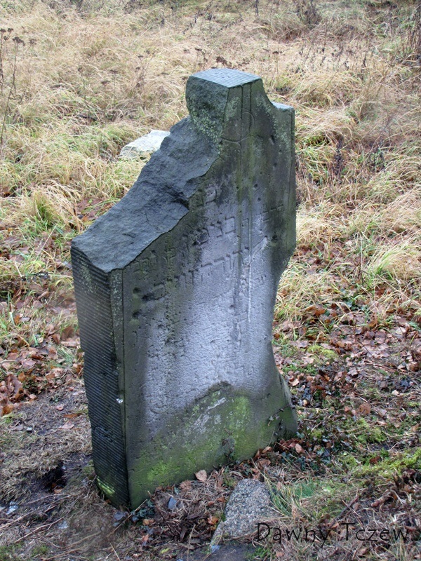 cmen 6.jpg