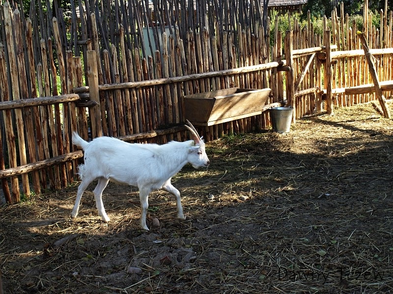faktoria04.jpg