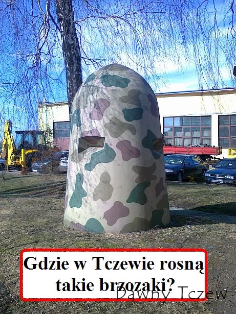 GRZIB.jpg