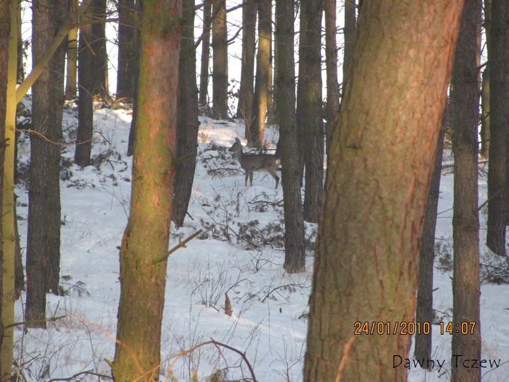 IMG_0102.JPG