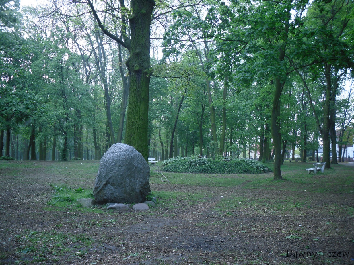 SDC11542.jpg