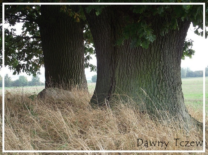 DSCF2879.JPG