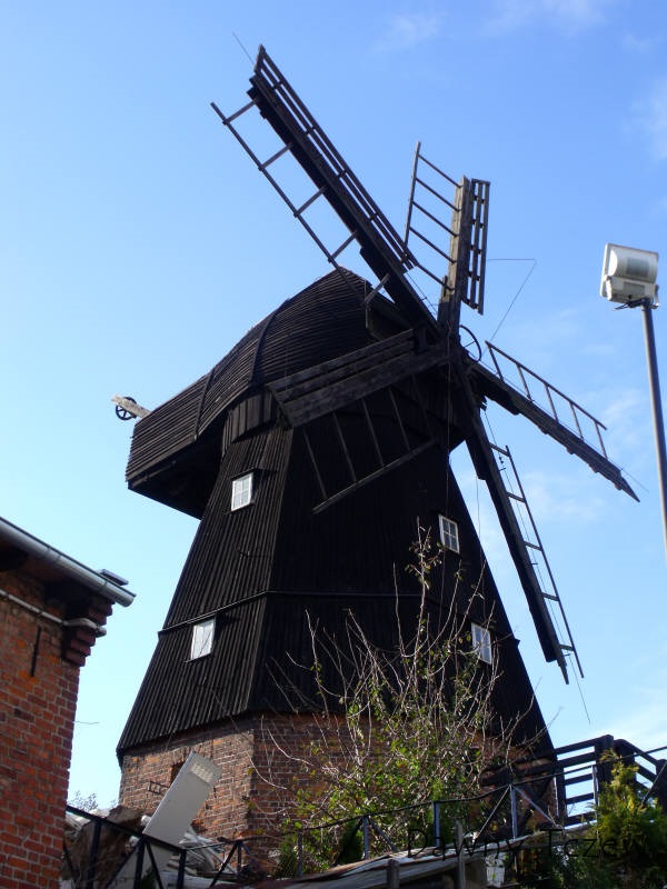 DSCF8624.jpg