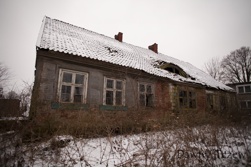 koncze_8.jpg