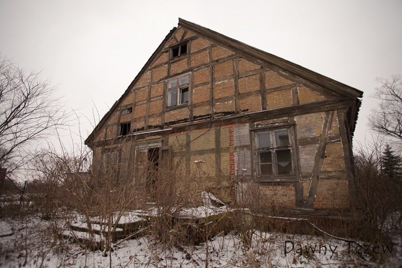 koncze_7.jpg