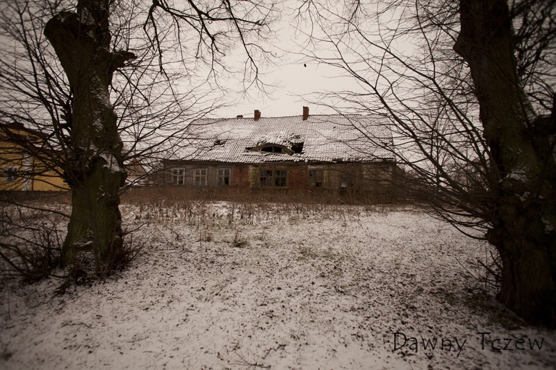 koncze_3.jpg