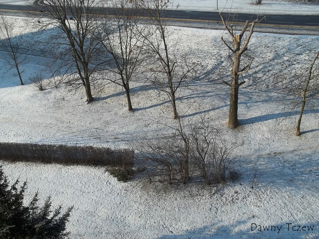 zima3.jpg
