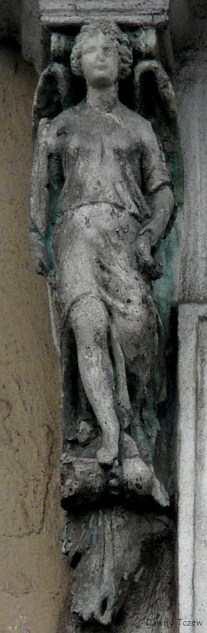 P1080247.JPG