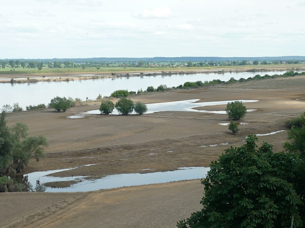 Widok z Gorzędzieja3.jpg