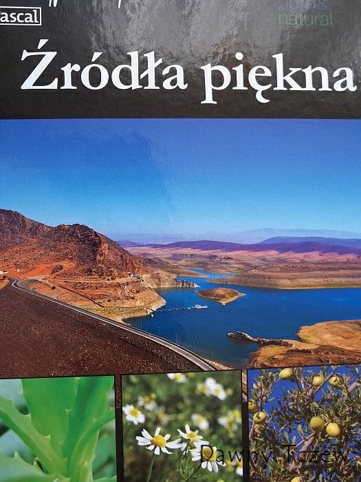 książka.jpg