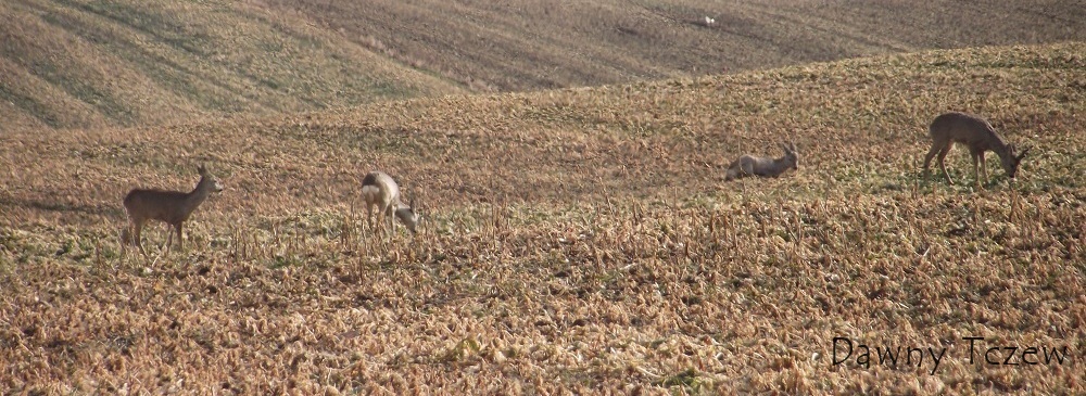 DSCF3450.JPG