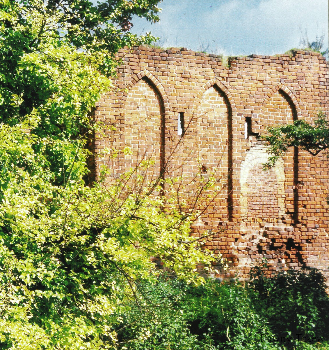 Obraz 001.jpg
