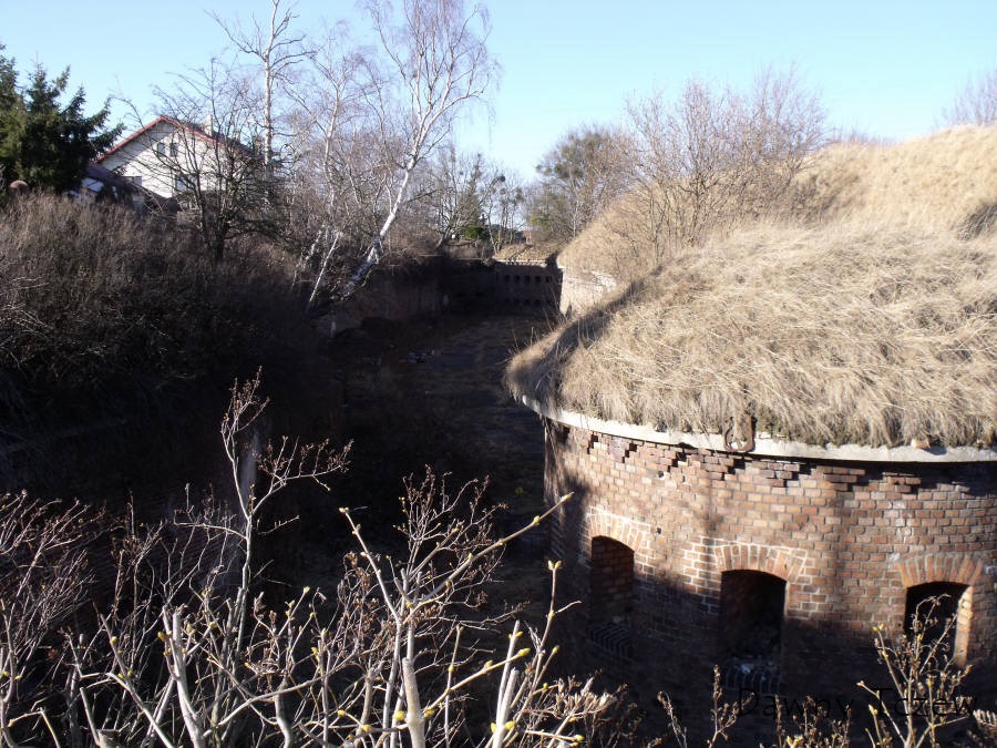 DSCF4259.jpg
