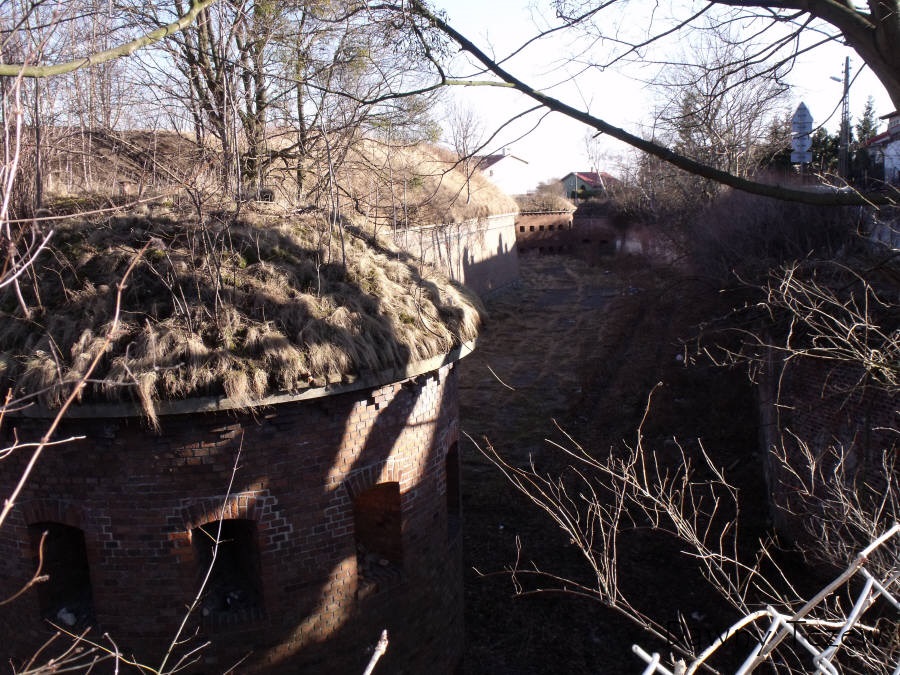 DSCF4271.jpg