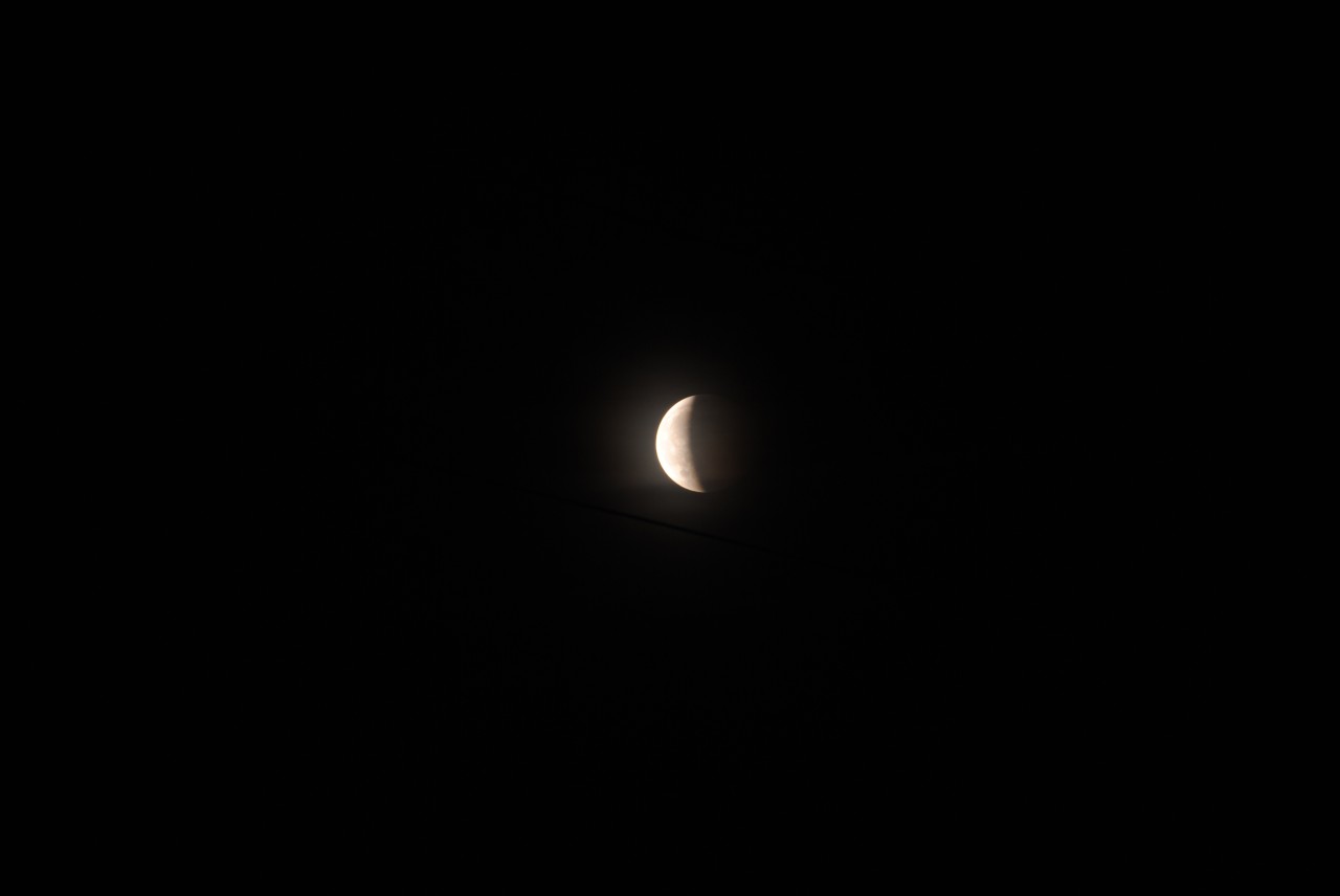DSC_4717.jpg