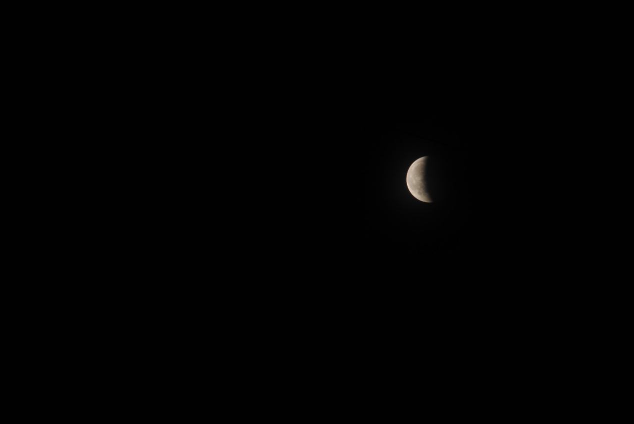DSC_4727.jpg