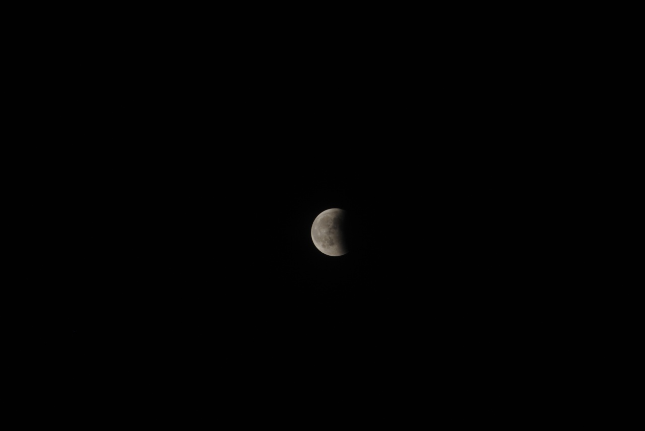 DSC_4738.jpg