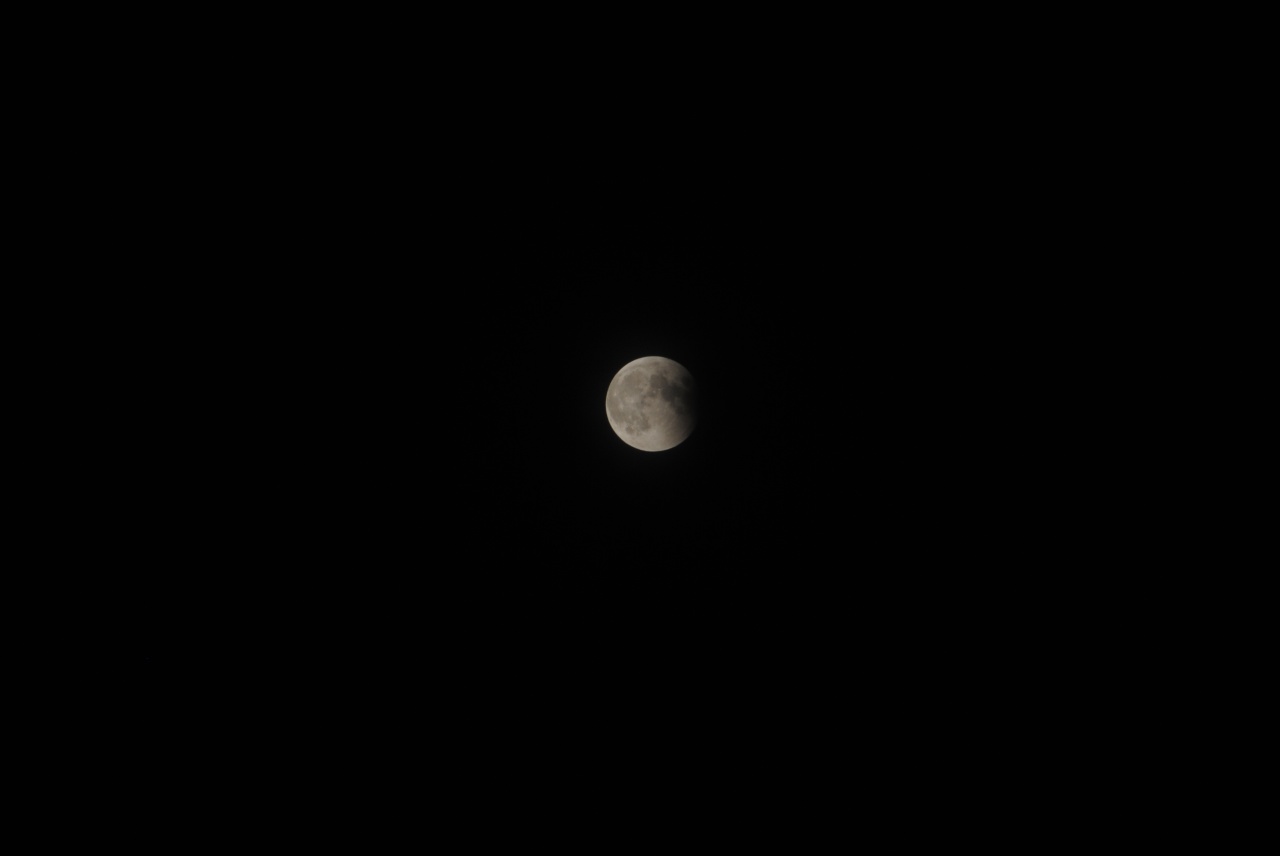 DSC_4763.jpg