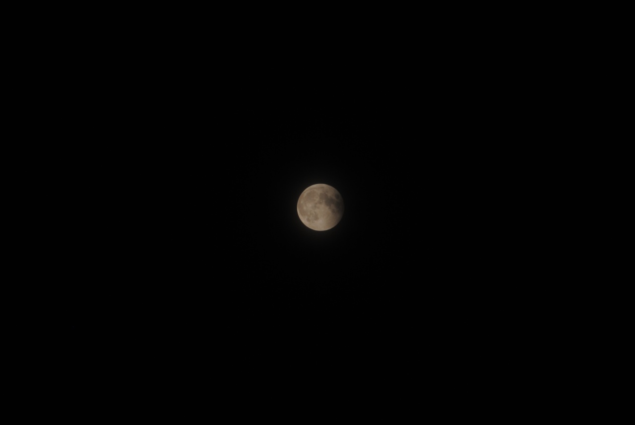 DSC_4772.jpg