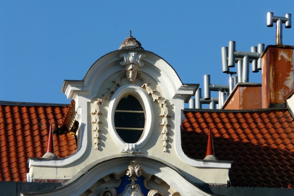 P1080436.jpg