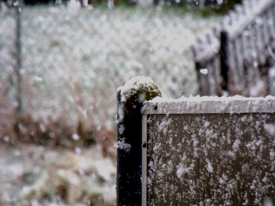 DSCF4534.jpg