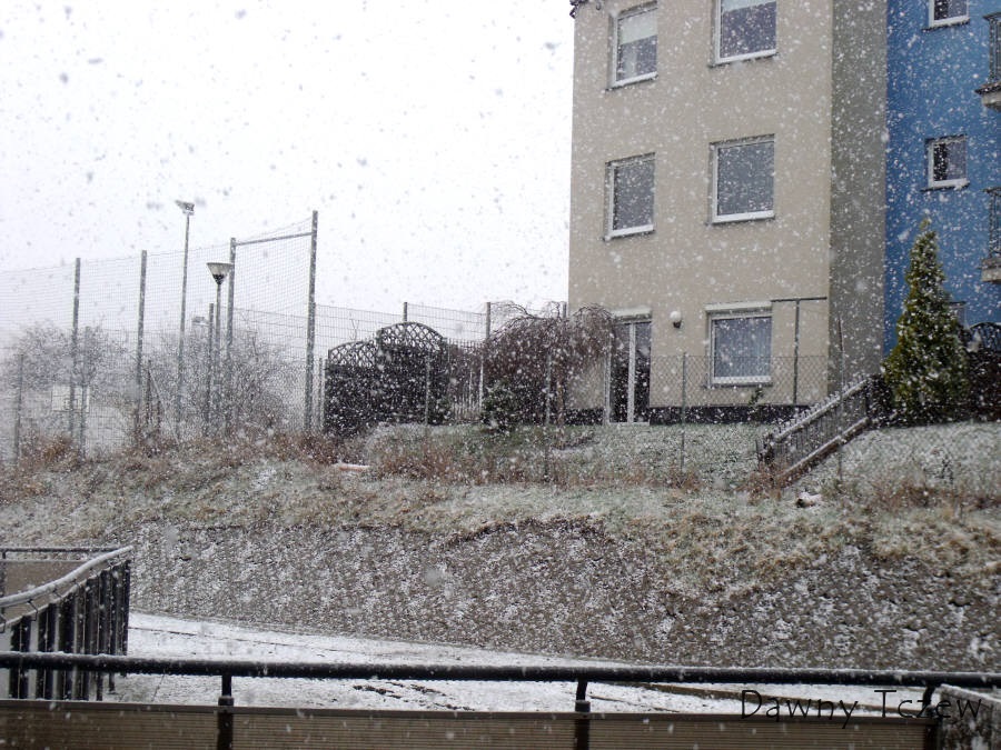 DSCF4536.jpg