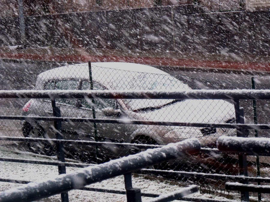 DSCF4542.jpg