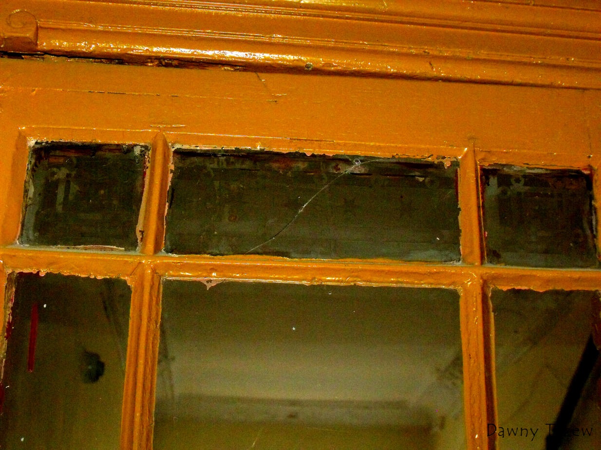 DSCF7378.jpg