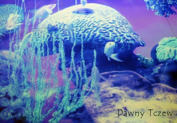 pIMG_8054.jpg