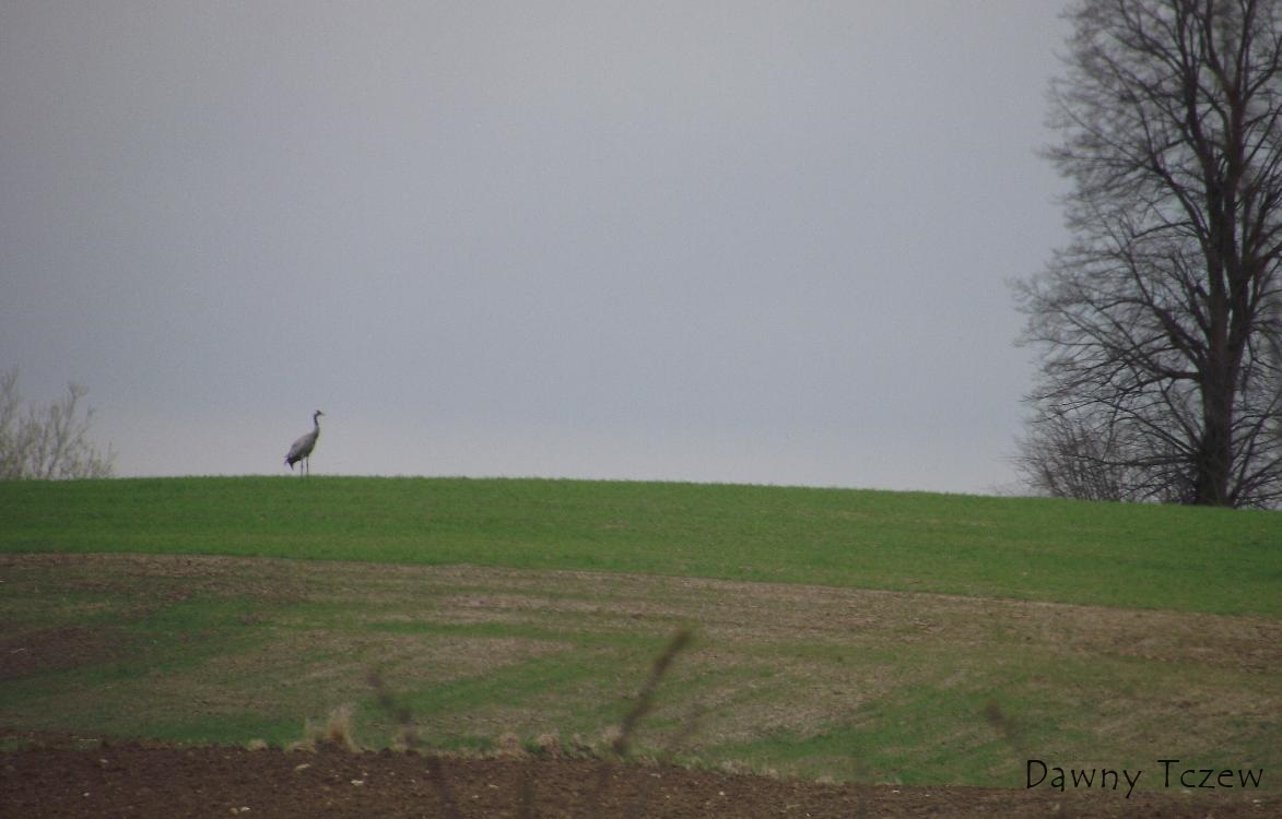 DSCF3487.JPG