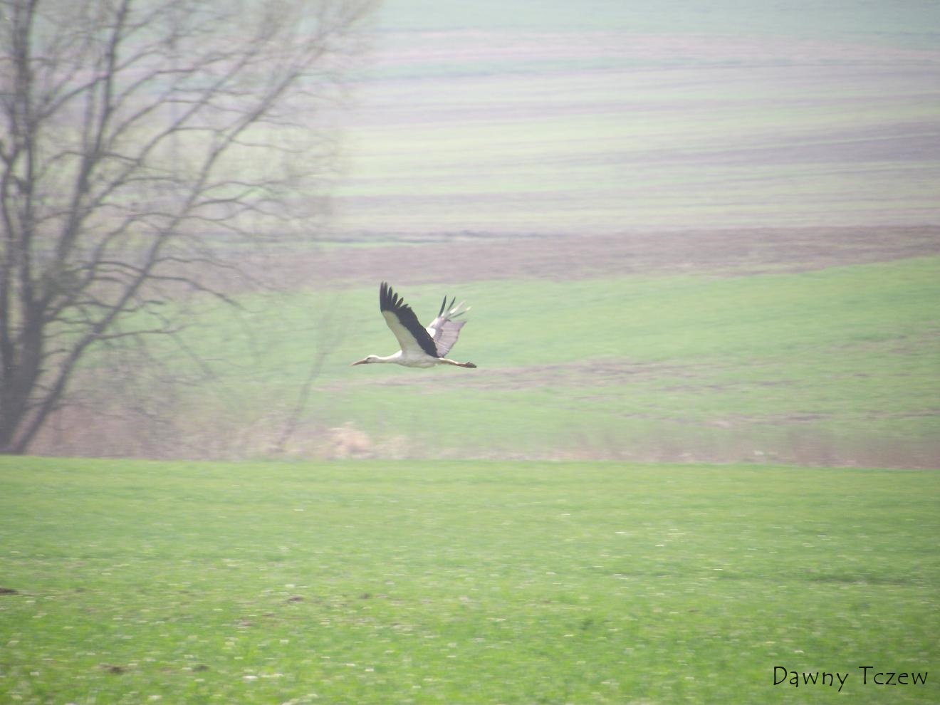 DSCF3530.JPG