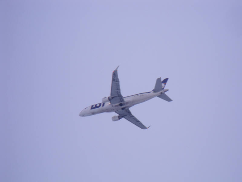 DSCF0452.jpg
