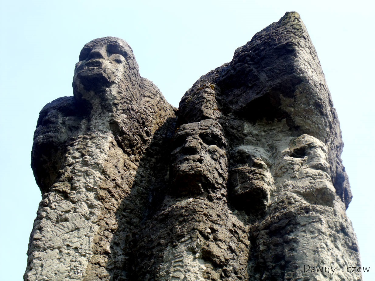 DSCF5142.jpg
