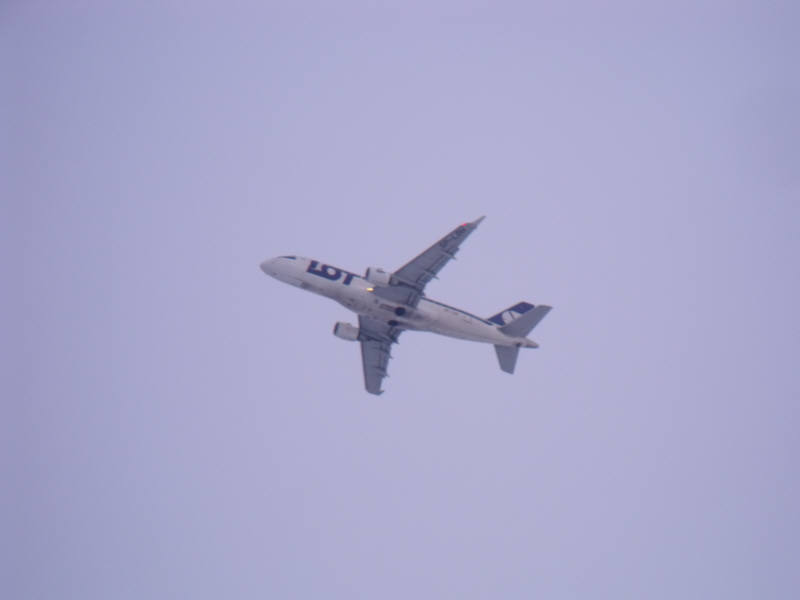 DSCF0451.jpg