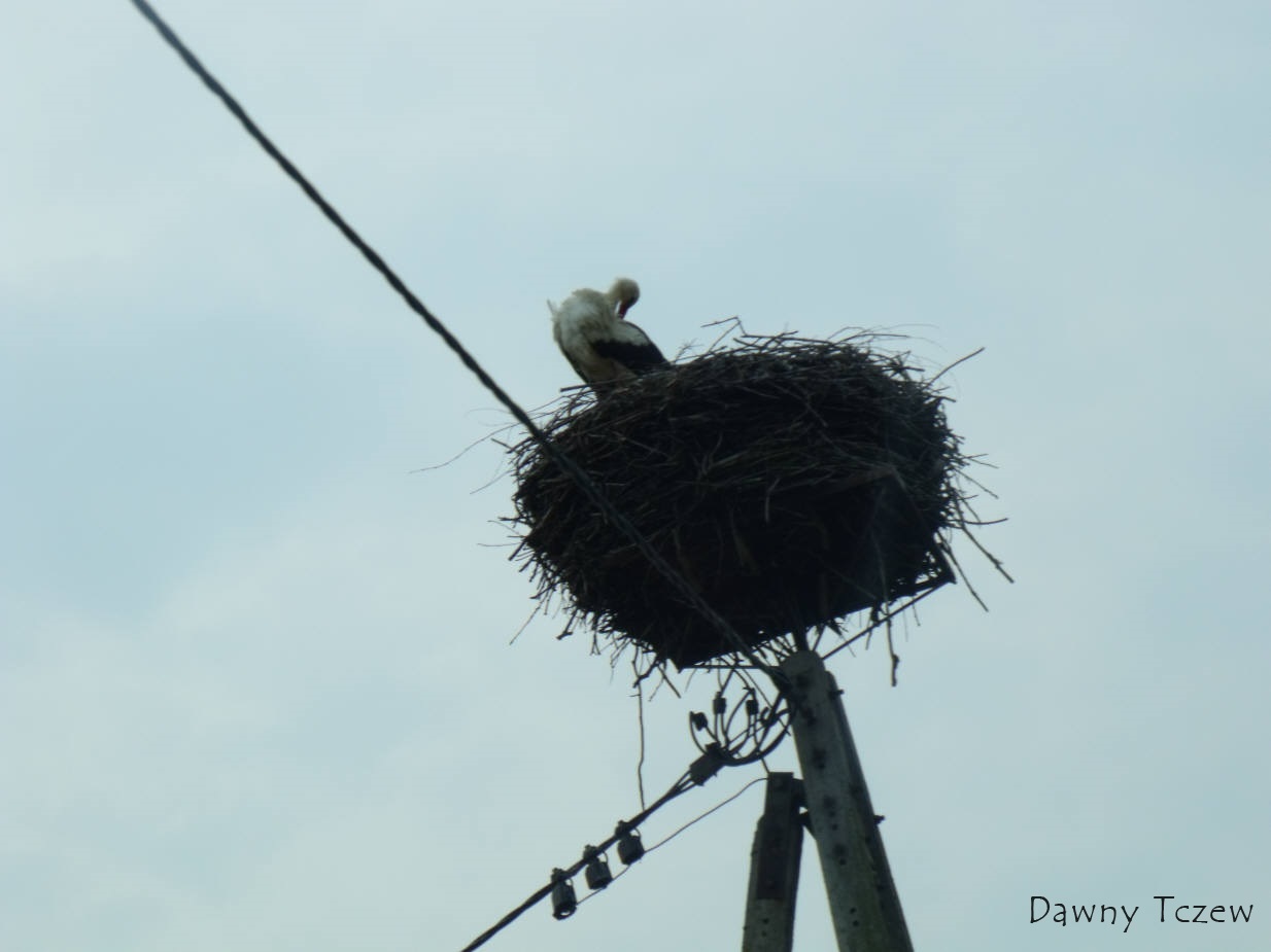 DSCF4898.jpg