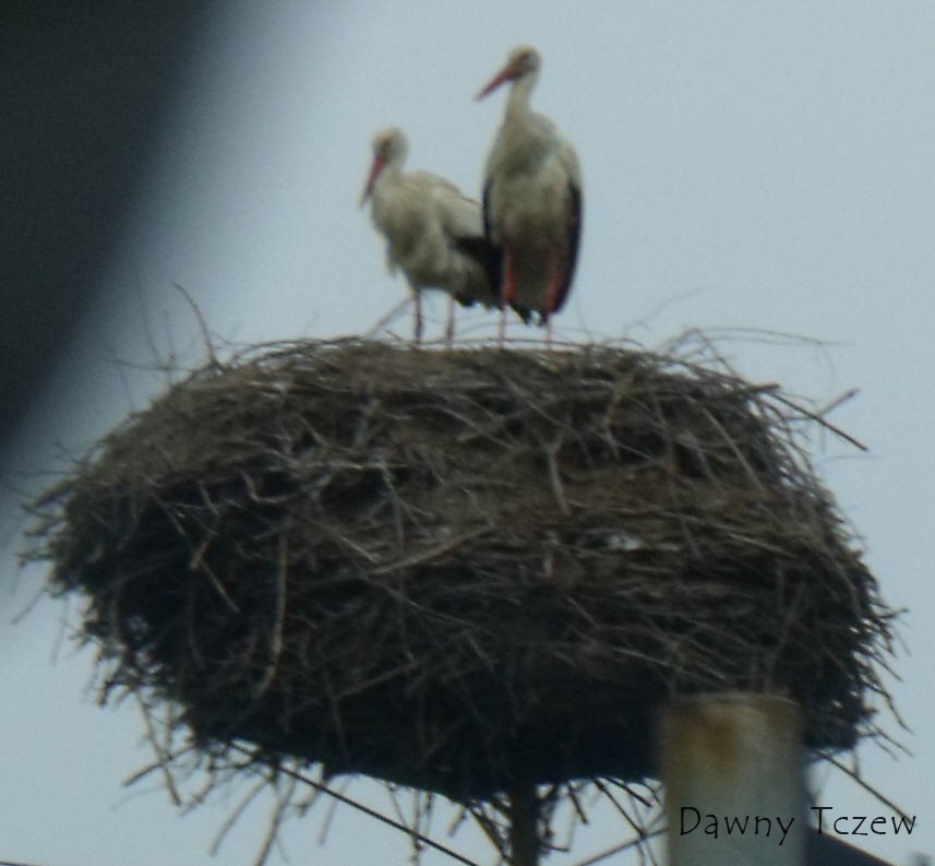 DSCF4902.jpg