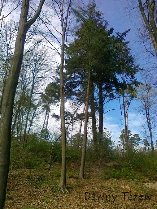 20120427879.jpg