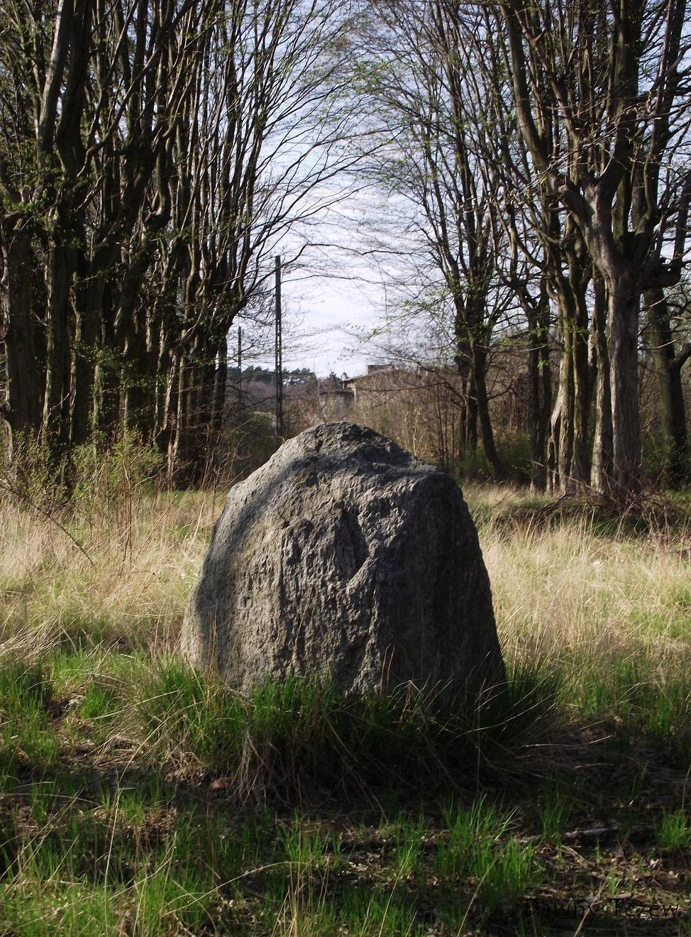 kamDSCF3588.JPG
