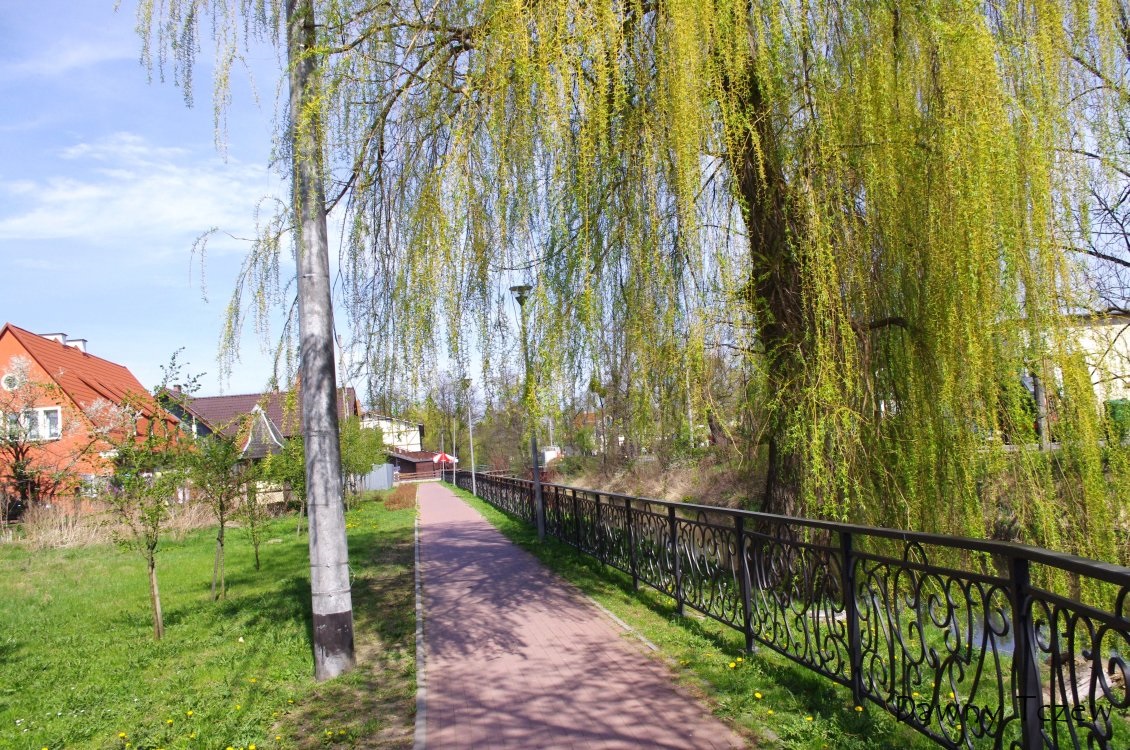 Pruszcz.3.jpg
