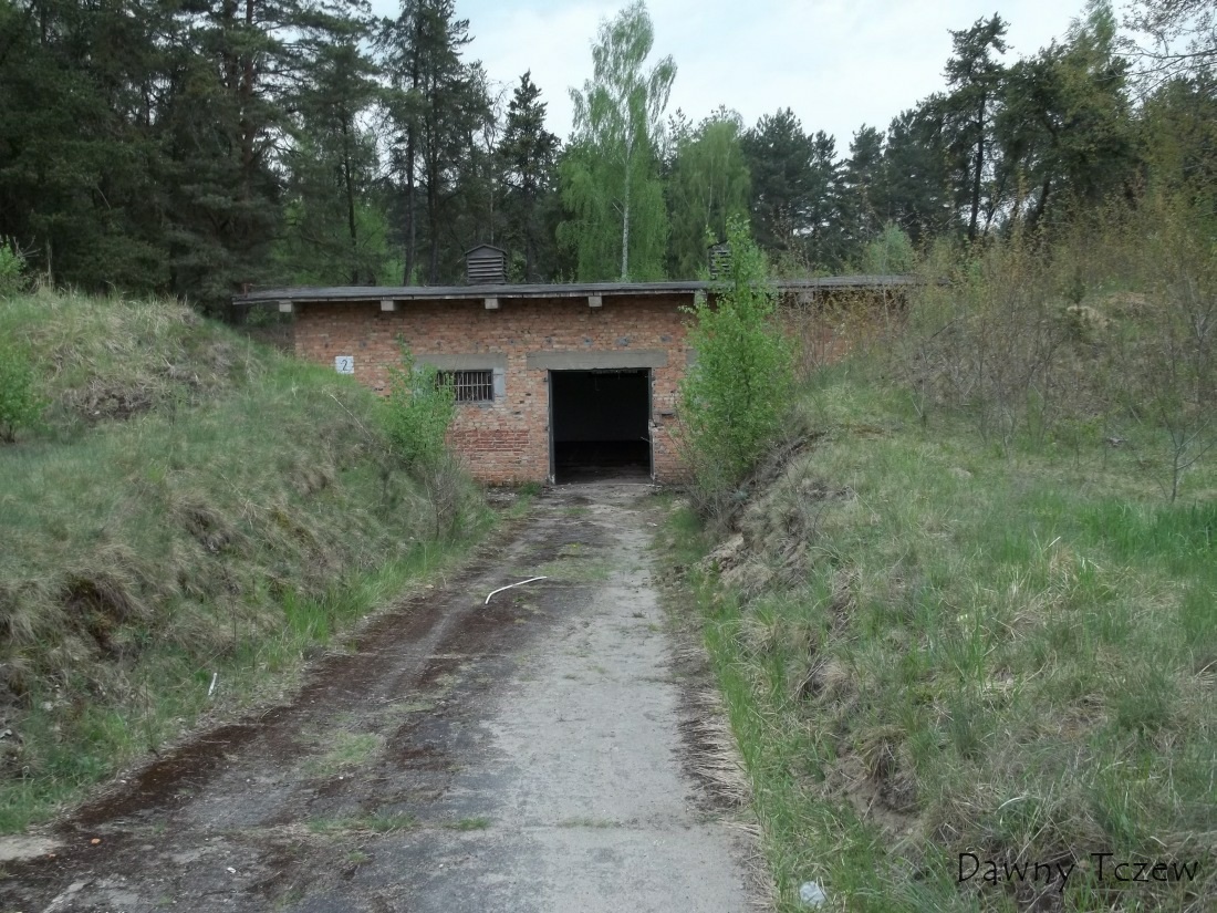 teren3.jpg
