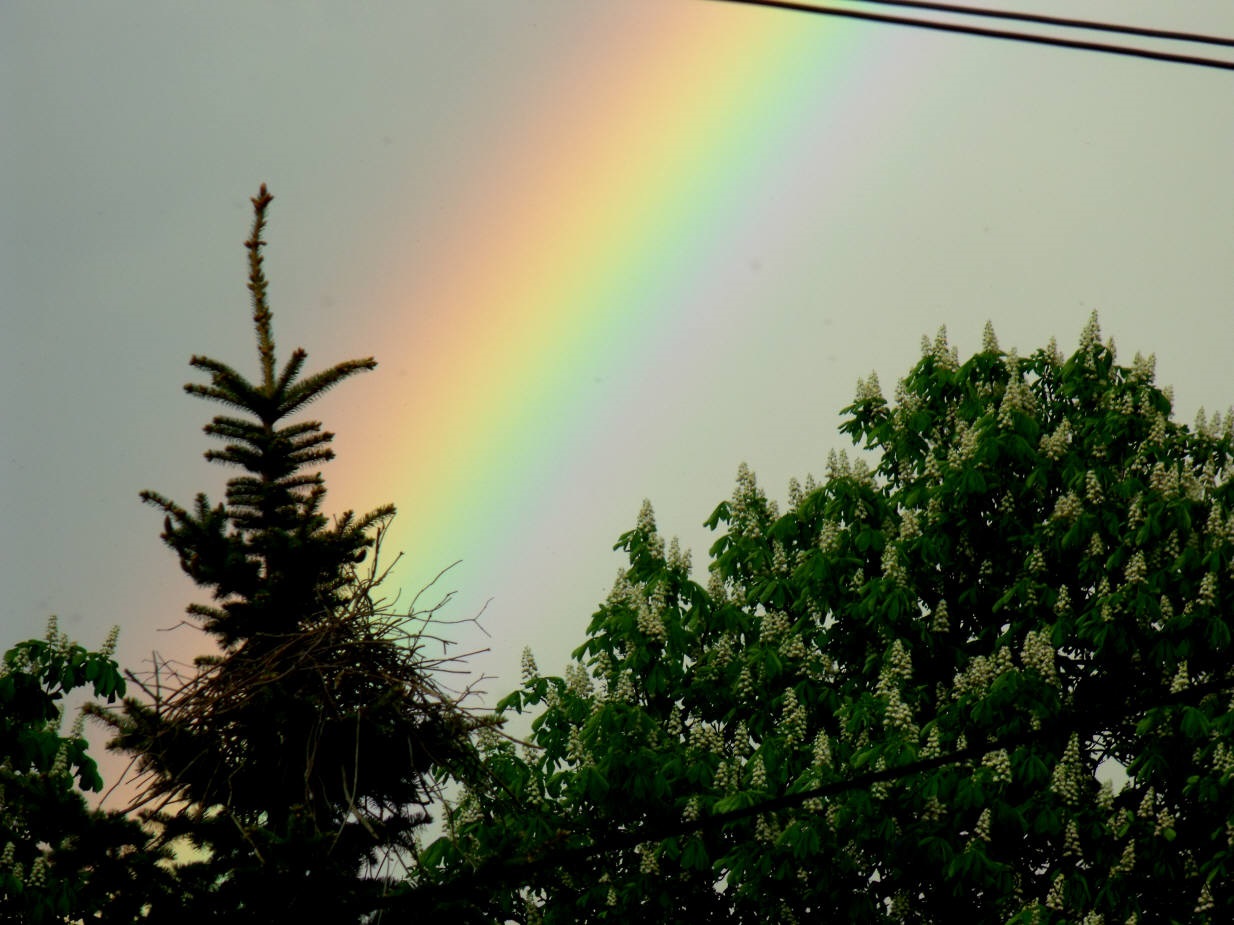 DSCF5673.jpg