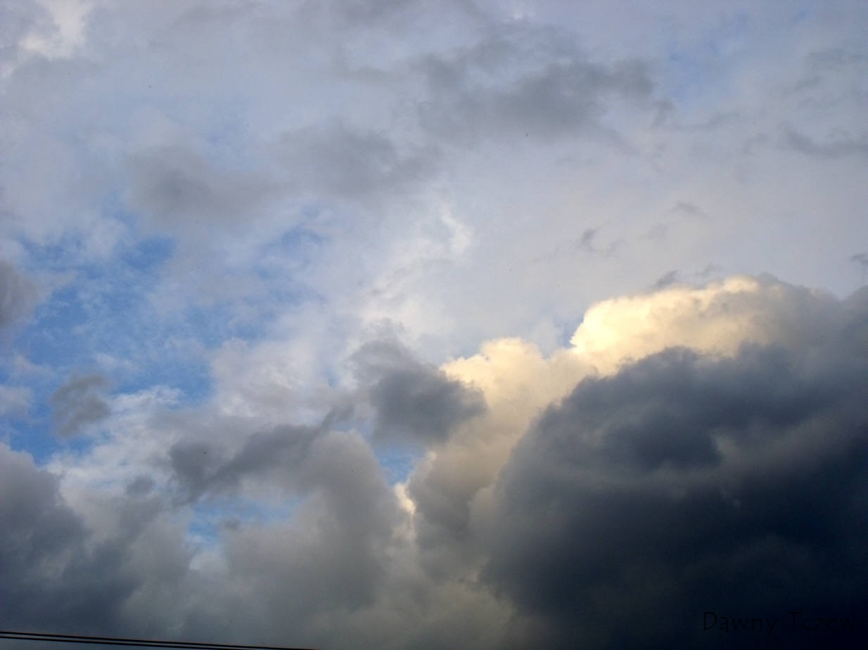 DSCF5684.jpg
