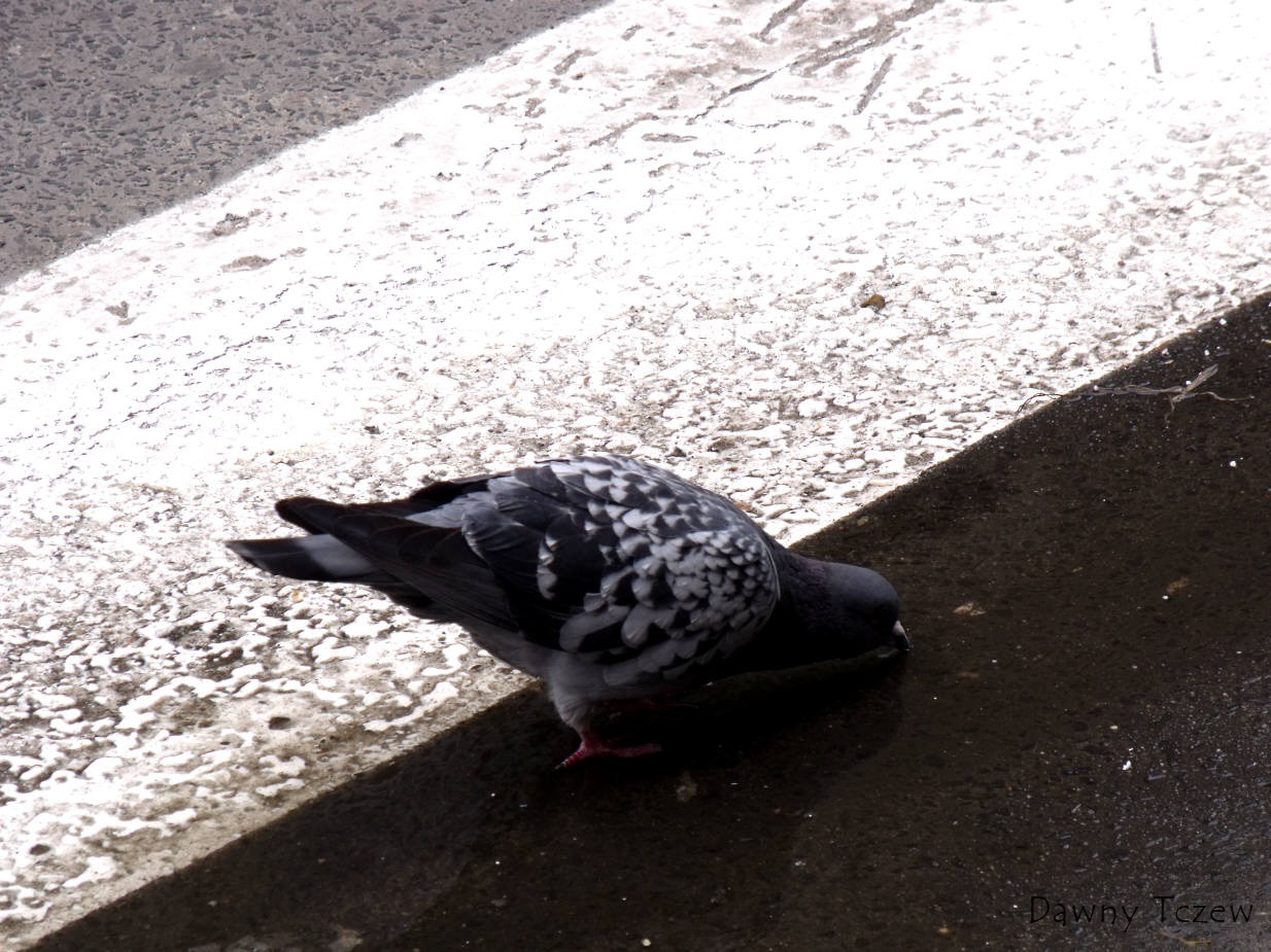 DSCF5693.jpg