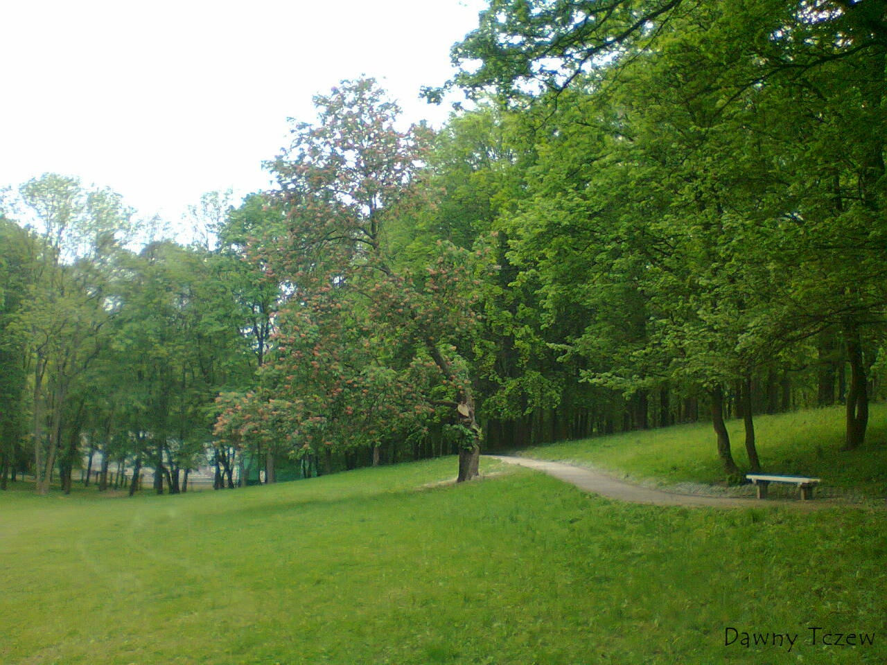 Zdjecie0115.jpg