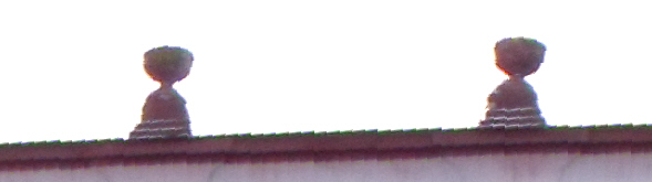 DSCF0970.jpg