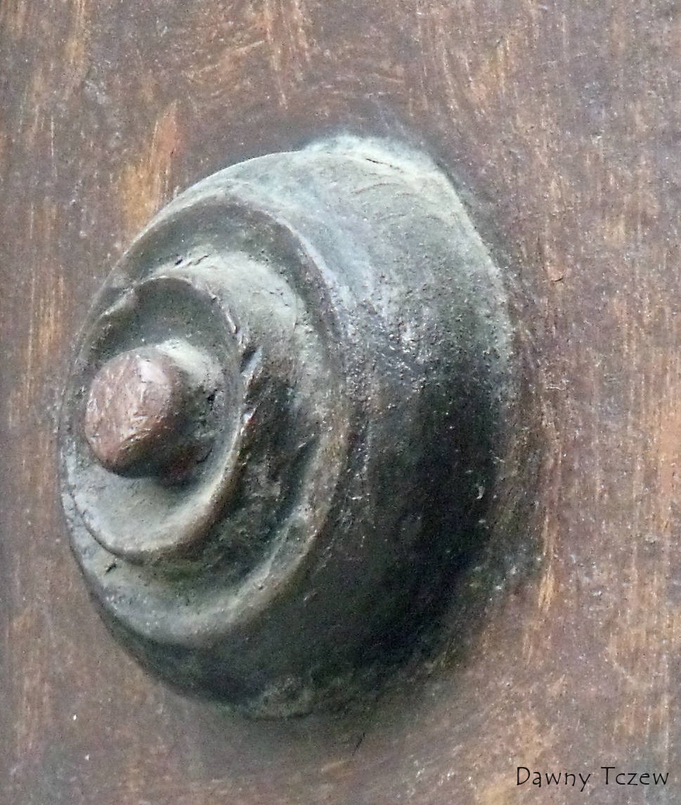 DSCF5605.jpg